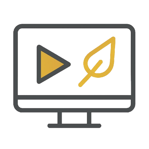 video icon