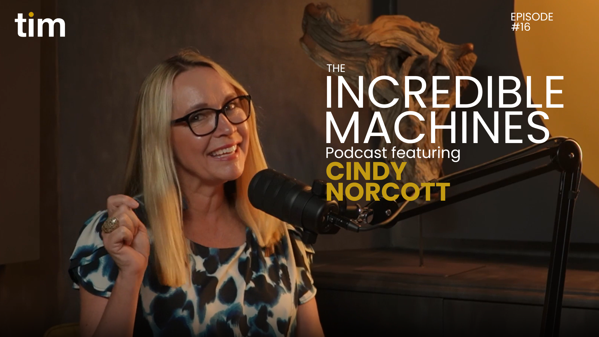 the Incredible Machines podcast with Cindy Norcott 